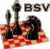 bsvlogo.gif © Archiv